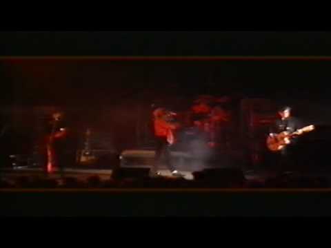 Video thumbnail for Butterflies