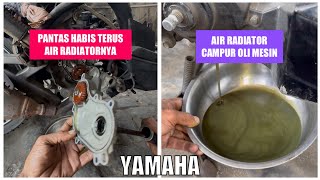 How to deal with radiator water entering the engine, mixing with oil #xeongt125