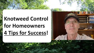 Knotweed Control for Homeowners: 4 Tips for Success!