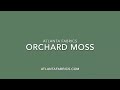 Orchard Moss by Atlanta Fabrics