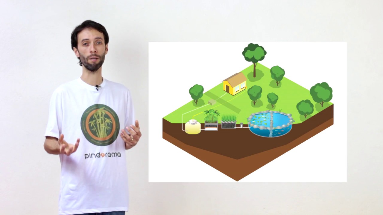 O que é Permacultura e como ela pode salvar o planeta?