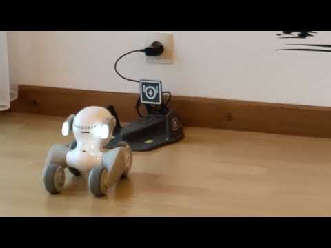 Loona PetBot - First Time Going onto her new Charging Station