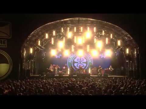 Heitere Open Air 2015 FLOGGING MOLLY: Salty Dog