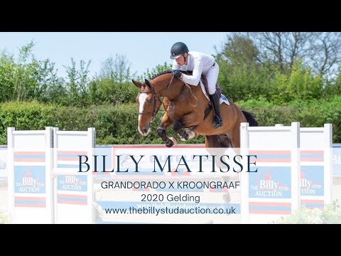 Billy Matisse