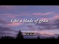 Vietsub Like A Blade Of Grass Jack Harlow Lyrics Video