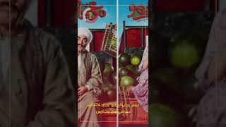فيلم مرعى البريمو يحصد 474 ألف جنيه فى السينمات أمس