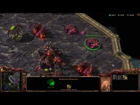 StarCraft 2 Covering the Entire map with Creep!