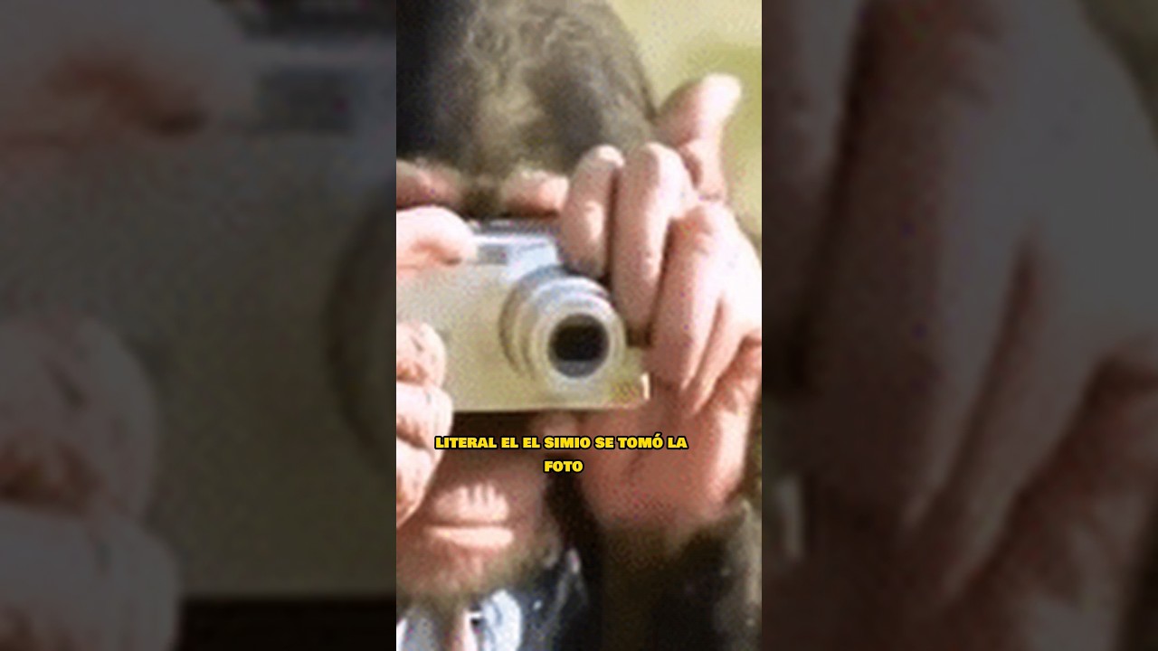 El origen del meme...#meme #viral #funfacts #podcast #humor #risas#sabiasque #datos #curiosidades