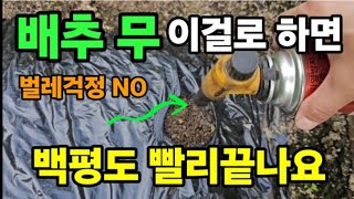 무배추심기 이걸로하면 100평 순식간에 끝나요! 모종에 피해주는 벌레걱정도 하지마세요~ #부농컴퍼니비닐멀칭 …