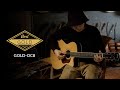 GOLD-OC8 (Natural), зображення 