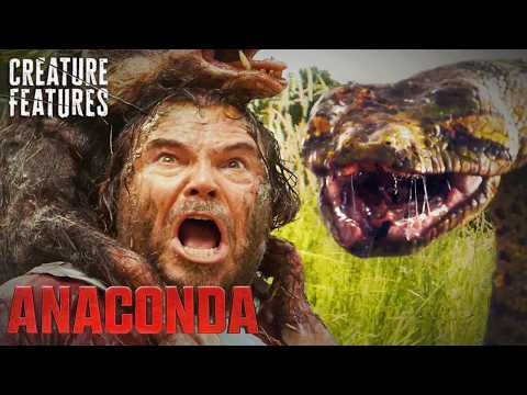 Surviving The Anaconda Regurgitation