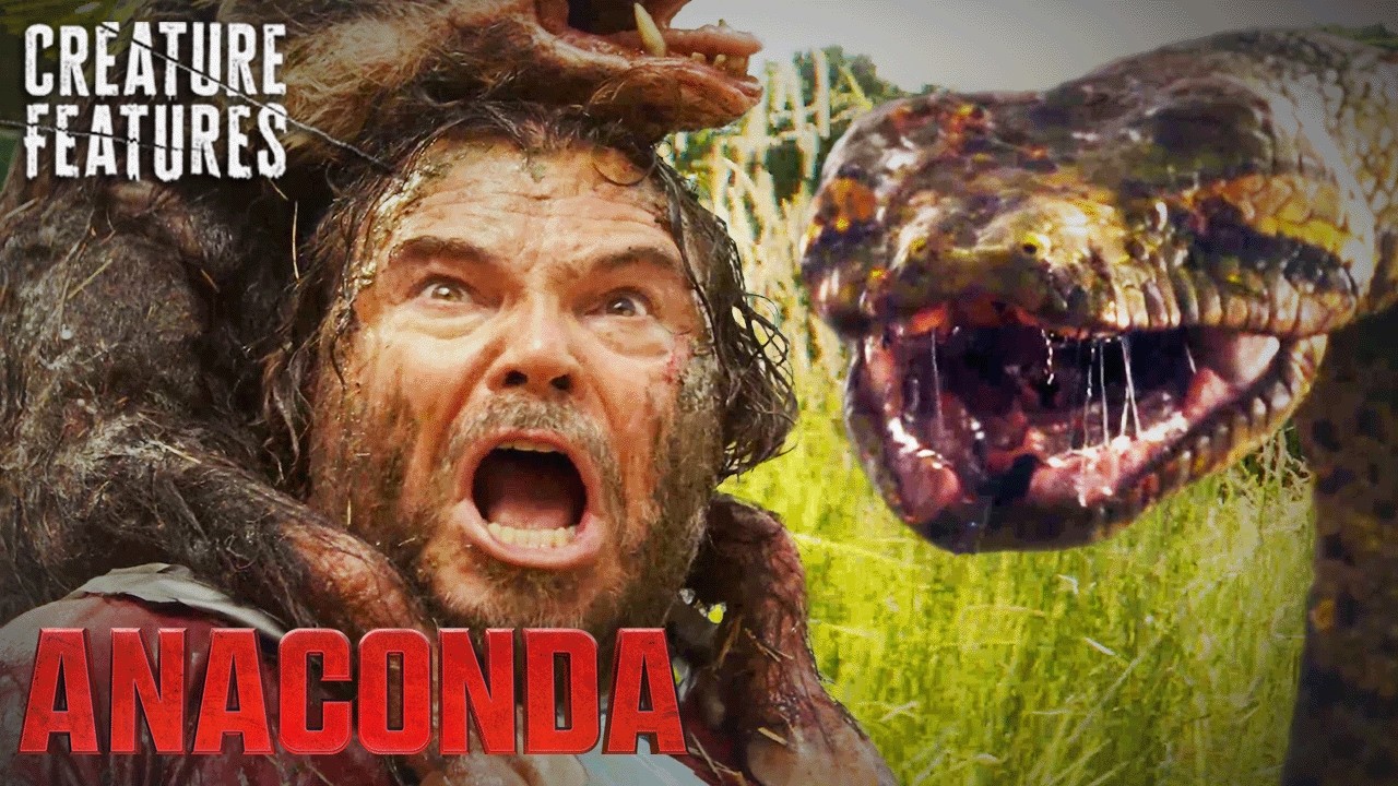 Anaconda — Surviving The Anaconda Regurgitation