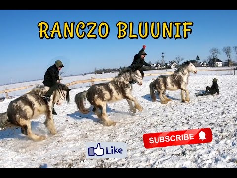 VALENTINE'S DAY OUR WAY