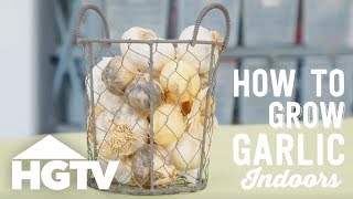 Way to Grow: How to Grow Garlic Indoors | HGTV