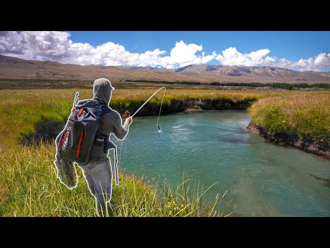 Epic Spring Creek Reveals Big Trout and Saves the Day!