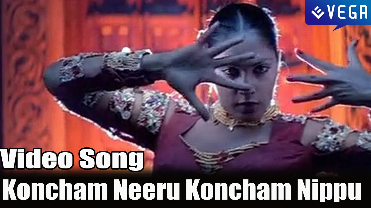 Koncham Neeru Koncham Nippu