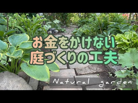 冬の美しい庭を作る、凍らない屋外植物10選  庭園