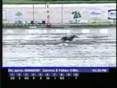 Resumen Sabado, 19 de Noviembre de 2011 - La Rinconada