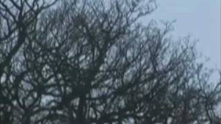 Praying for sunny days