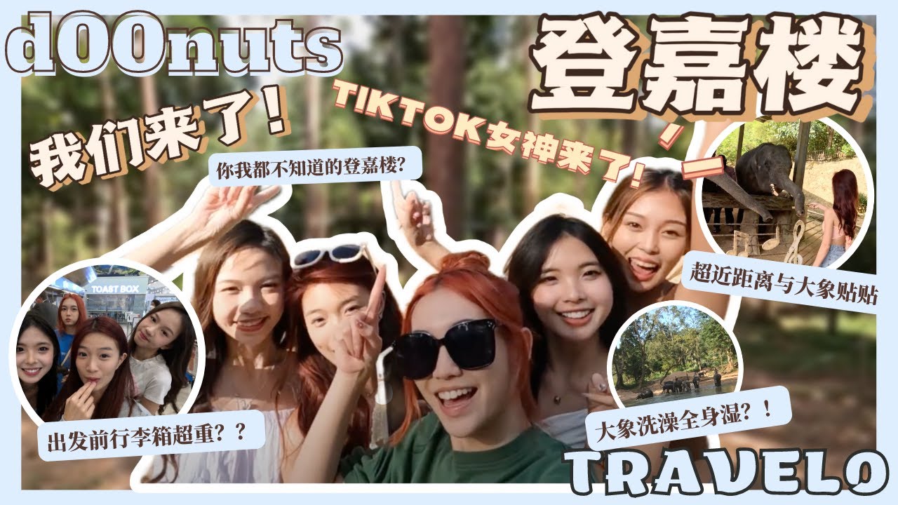 【🍩 d00nuts travel0】登嘉楼我们来了✈️｜TIKTOK女神也在这😍｜你我都不知道的登嘉楼❓｜大象洗澡全身湿🐘｜与大象超近距离贴贴🥰｜登嘉楼必吃的xx🤤