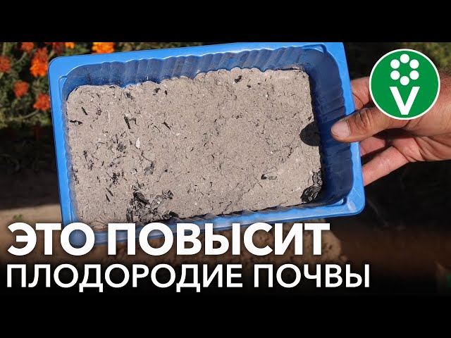 4 ОТЛИЧНЫХ СПОСОБА СДЕЛАТЬ ПОЧВУ ПУШИСТОЙ И ПЛОДОРОДНОЙ!