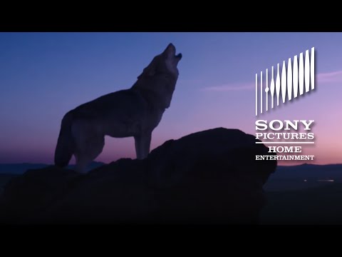 Wolf Totem Movie Trailer