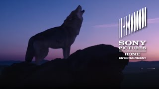 Wolf Totem Film Trailer