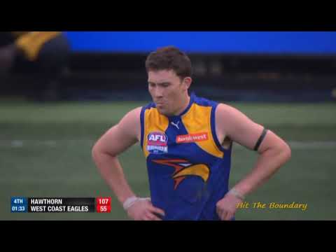 2015 AFL Grand Final: Hawthorn v West Coast (5 minutes to go)