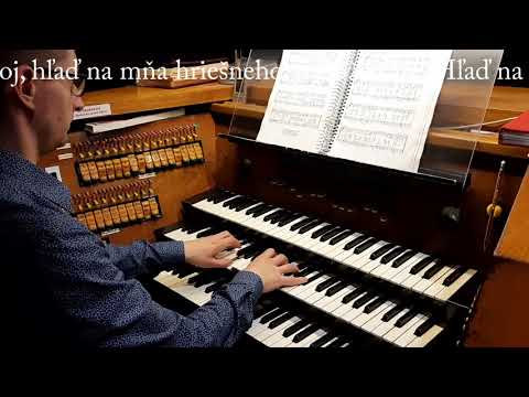 JKS 265 - Ctím teba pobožne (Dóm sv. Alžbety)