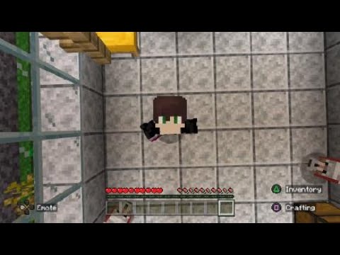 Minecraft Survival Gameplay GOING CRAZY!!!!!!!!!!!!!! |No commentary