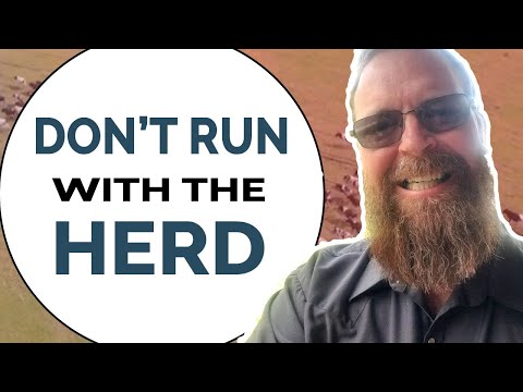 Don’t Run With The Herd - Why So Many People Get It Wrong