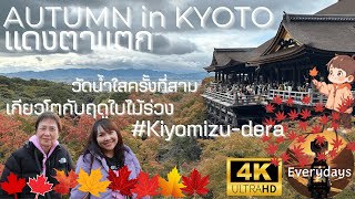 มาถึงเกียวโตแล้วกับฤดูใบไม้เปลี่ยนสี วัดน้ำใสจะสวยขนาดไหน [Autumn 2024, Kyoto] [4K]
