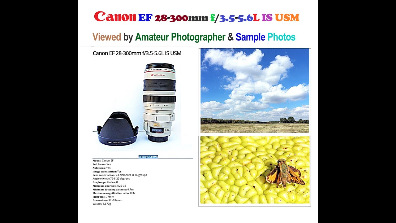 Canon EF 28-300mm f/3.5-5.6L IS USM – Viewed by Amateur