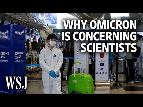 為什麼 Omicron 變體讓科學家們感到擔憂 (Why the Omicron Variant Is Concerning Scientists | WSJ)