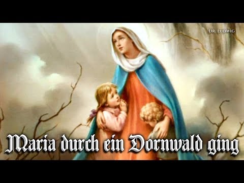Maria durch ein Dornwald ging [German church song][+English translation]