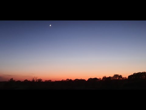 C++Builder und Datenbanken