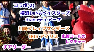 コラボ(2)横浜DeNA ベイスターズ dianaディアーナ  川崎ブレィブサンダース　IRIS 応援コールのレクチャー　チアリーダー  cheerleader