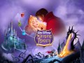 Sleeping Beauty Magical House Cleaning Blue Or Pink