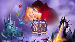 Sleeping Beauty - Magical House Cleaning/Blue or Pink