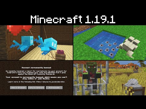 Minecraft 1.19.1 - Dancing And Duplicating Allays, Player Bans, Bug Fixes