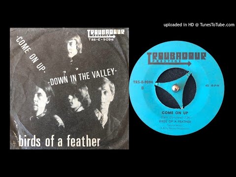 Birds Of A Feather - Come On Up