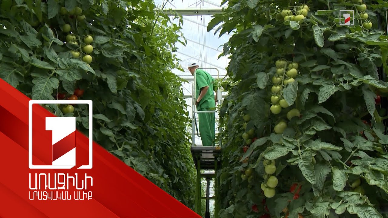 Հայաստանում ՀՆԱ-ի աճը կկազմի 5 տոկոս. ՀԲ զեկույց