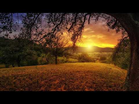 Daniel si Emanuela Hirtie - Nu doar ca Petru