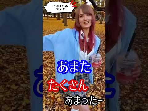【古典⑤】語呂合わせでギャルと一緒に〝やむごとなし〟〝まし〟などの古語を覚えよう！ #語呂合わせ