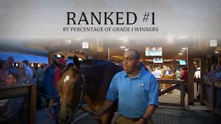Download the video "The Saratoga Sale: Crown Jewel (2025)"