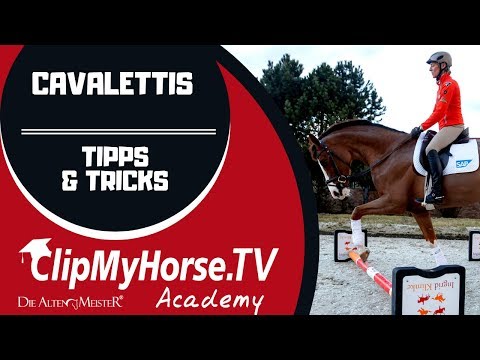 Ingrid Klimke Wie gewöhne ich mein Pferd an Cavalettis? - Tipps & Tricks | LEHRGANG |