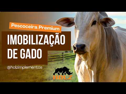 Pescoceira Premium  - Imobilização para Tratamento