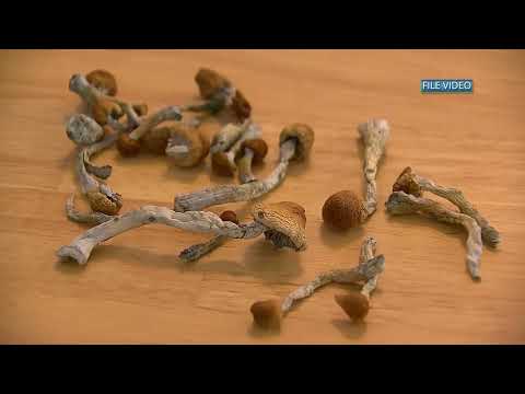 Opinions heard on psilocybin land use at Deschutes County public hearing