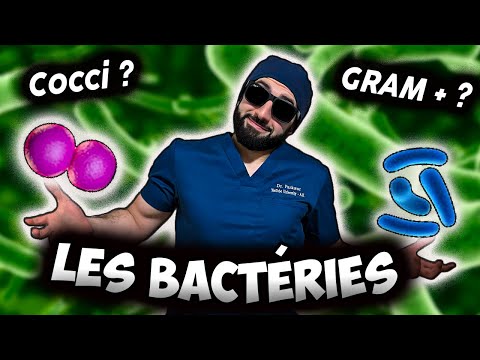 BACTÉRIES : LE GUIDE ULTIME 🦠