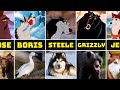 Balto Characters In Real Life